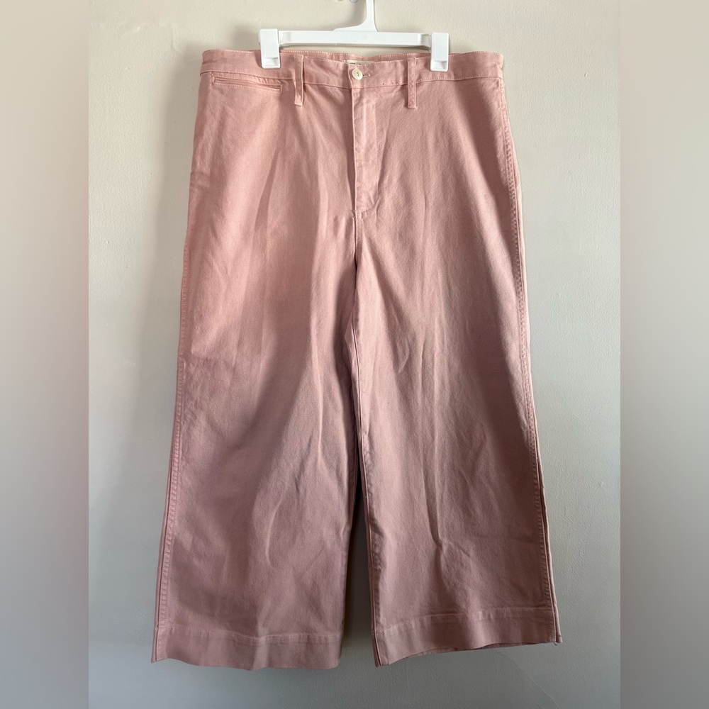 Madewell Powder Pink Emmett Wide Leg Pants 33
